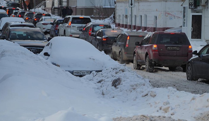 Забытые в снегу