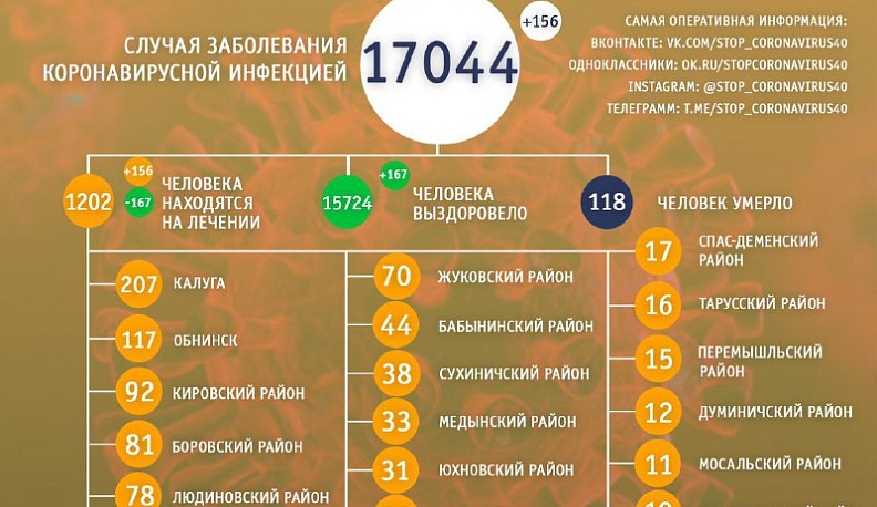 В Калужской области за сутки выздоровело 167 человек