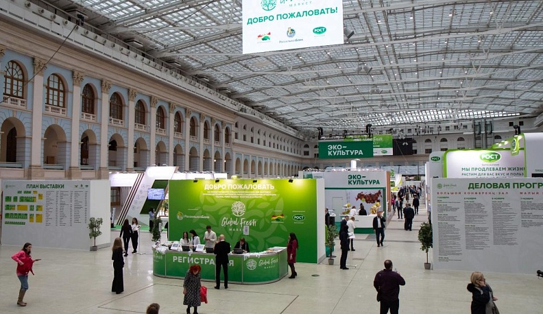 Плодотворный ноябрь