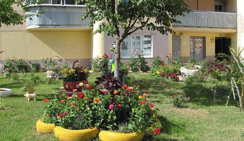 Сорняк нам не друг!