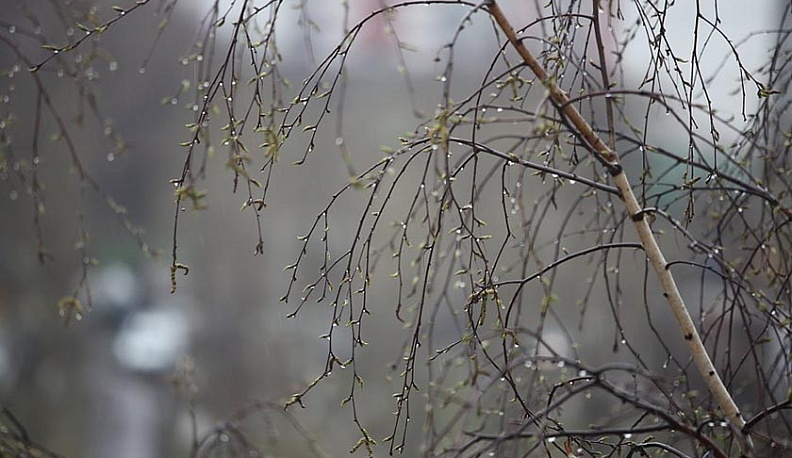 Во вторник погода в Калужской области испортится