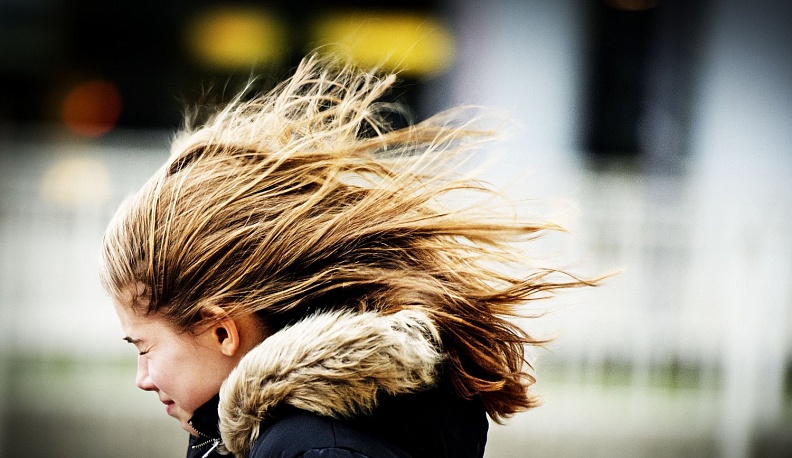 МЧС предупреждает о сильном ветре в Калужской области