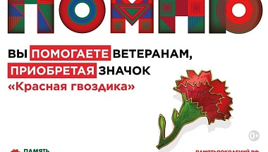 Калужане смогут принять участие в акции помощи ветеранам «Красная гвоздика» 