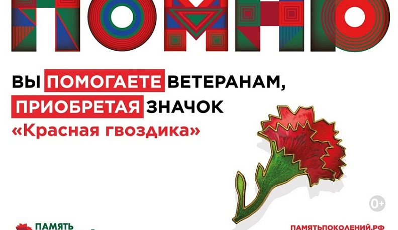 Калужане смогут принять участие в акции помощи ветеранам «Красная гвоздика» 