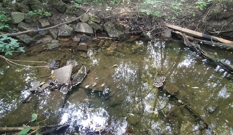 В региональном минприроды прокомментировали ситуацию с гибелью рыбы в реке Репинке