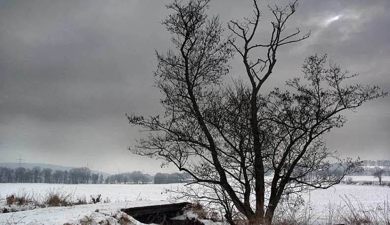 Масленичная неделя в Калуге будет теплой, но хмурой