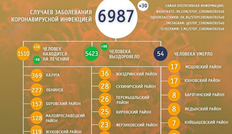 В Калуге за сутки выявили 30 новых случаев заболевания COVID-19