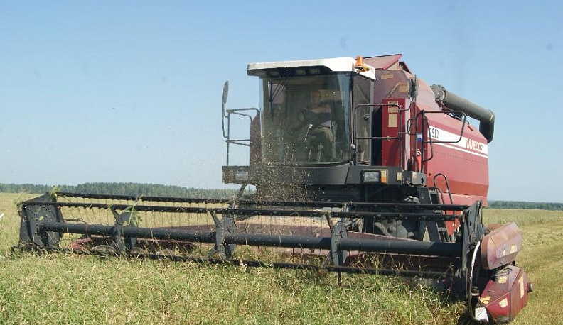 СПК «Жерелёво» Куйбышевского района завершает уборку пшеницы