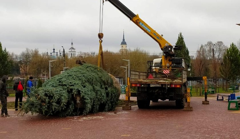 В парке на Марата в Калуге посадили 10-метровую голубую ель