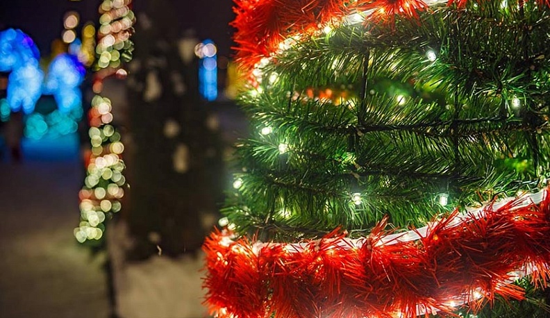 В Калужскую область приехали #ЁлкиАрт