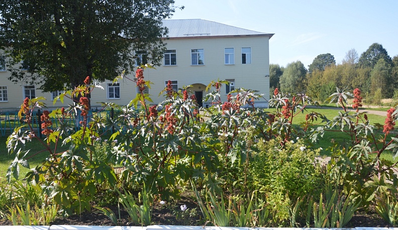 По лестнице добра