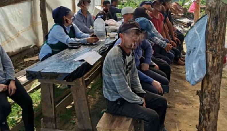 В Жуковском районе 14 нелегальных мигрантов собирали овощи