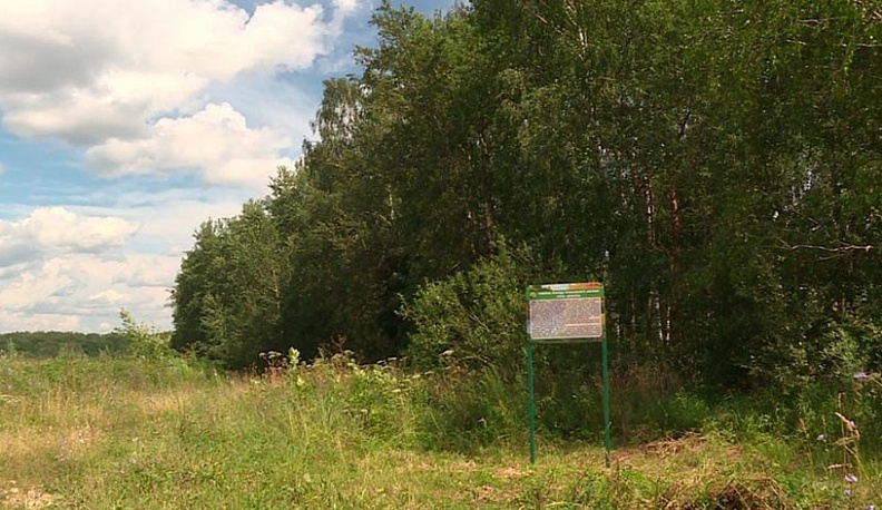 Калужан просят проголосовать за Можайский овраг на конкурсе экотуризма