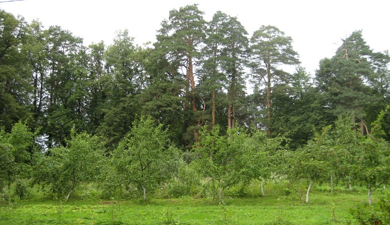 В Калужской области установили границы Парка и сада Пафнутьев-Боровского монастыря