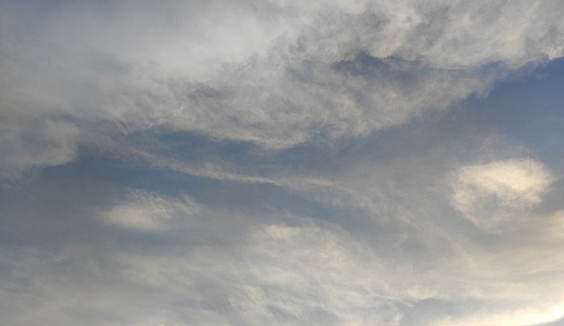 Над территорией Жуковского района сбили один БПЛА