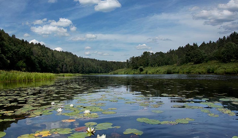 Калужская область входит в ТОП-10 экологического рейтинга страны