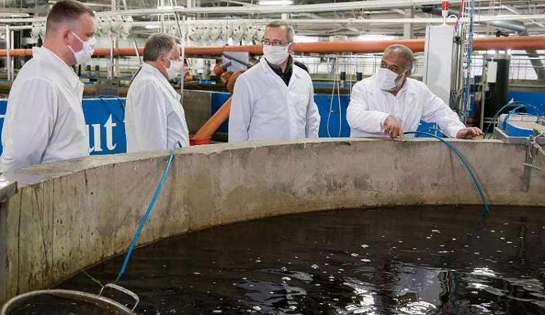 Удержать экономику на плаву