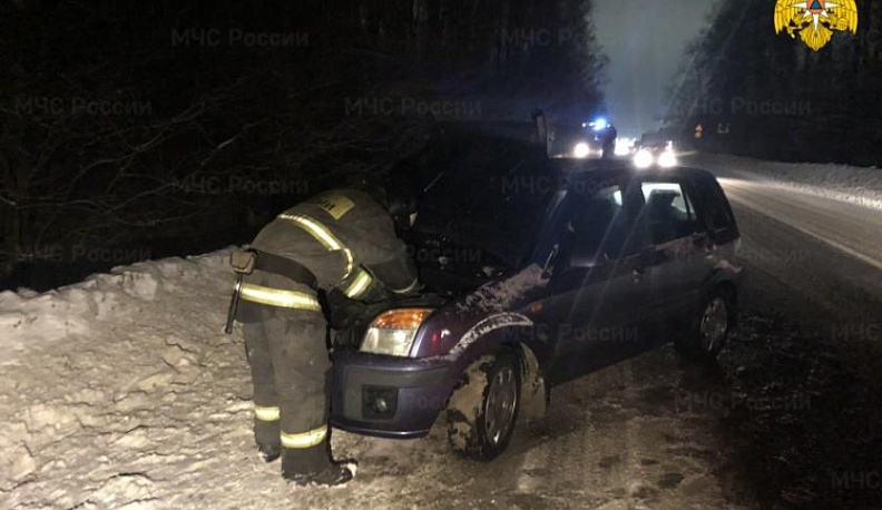 Выбежавший на дорогу олень спровоцировал аварию в Калужской области