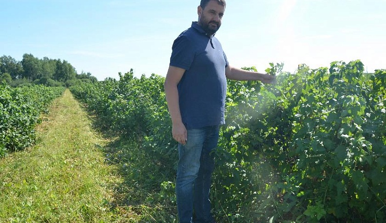 Вкусная ягода