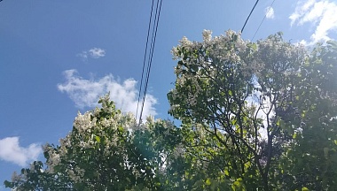 В Калужской области продолжаются теплые дни