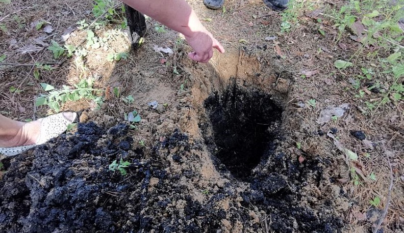 Полиция возбудила уголовные дела о загрязнении почвы нефтепродуктами в Полотняном Заводе