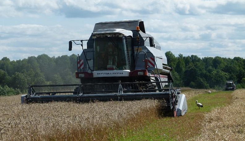 В полном разгаре страда деревенская