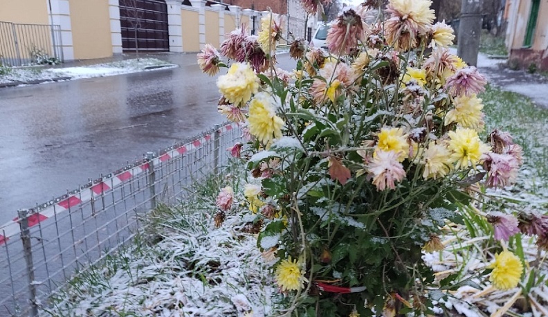 В Калуге всю неделю будет идти снег