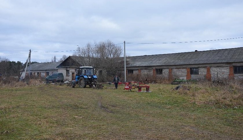 Островок надежды
