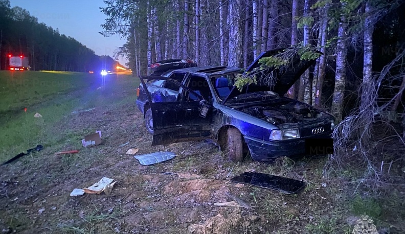 В Мосальском районе водитель «Ауди» не справился с управлением и вылетел с дороги