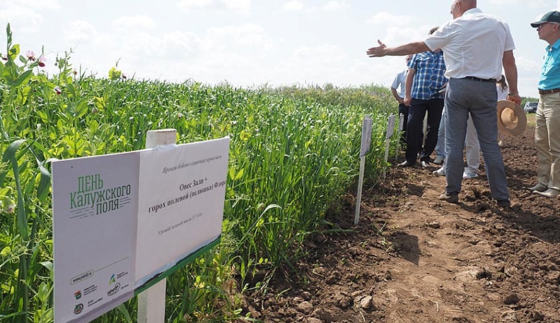 Юбилейный День Калужского поля открылся в онлайн-формате