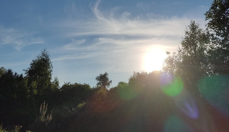 Магнитная буря и пыльца омрачат теплую погоду в Калуге