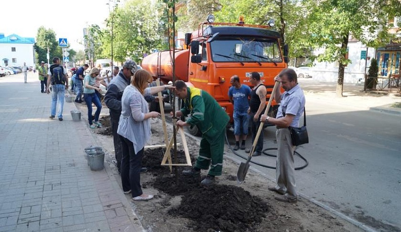 На Плеханова в Калуге высадили липы