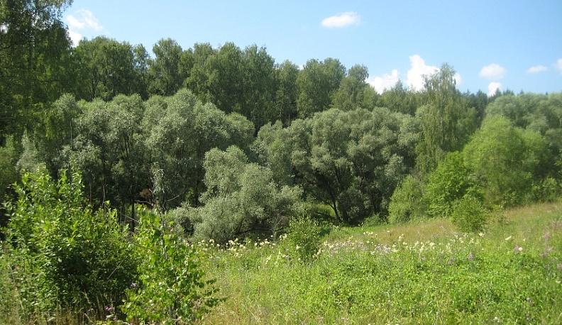 «Почуевская долина» Тарусского района получила статус особо охраняемой природной территории