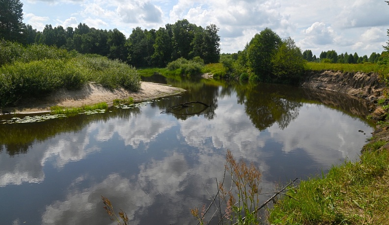 Зелёному - зелёный свет!