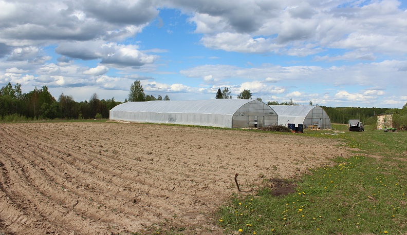 Философия биофермы