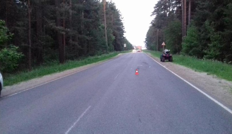 Вездеход сбил косулю на трассе под Людиновом