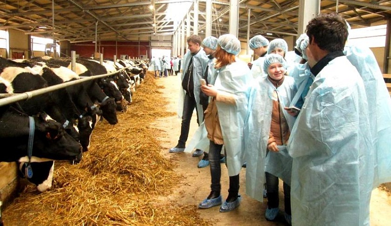 Я бы в фермеры пошёл…