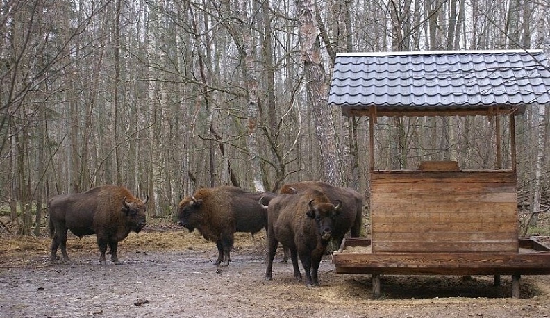 Владислав Шапша пообещал поддержку инвестиционных проектов в Ульяновском районе