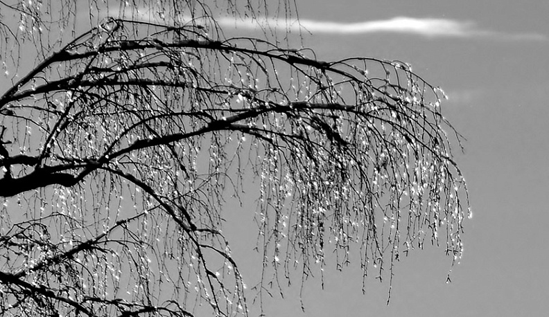 В Калуге к концу дня потеплеет и пойдет дождь