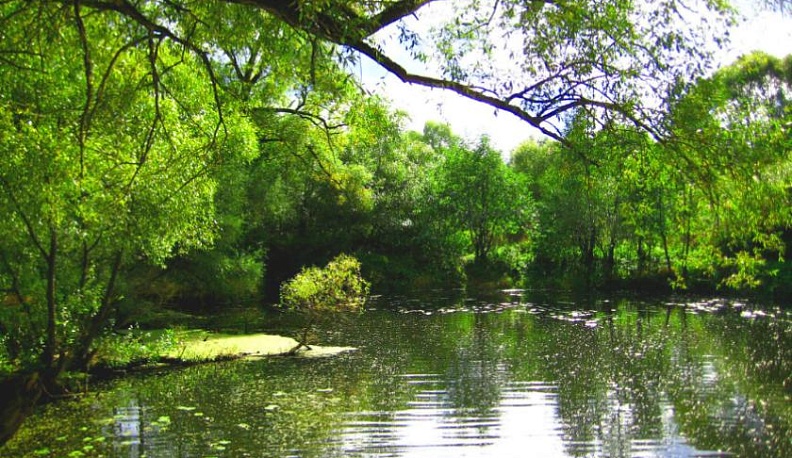 В Калужской области оценят экологическое состояние трех рек