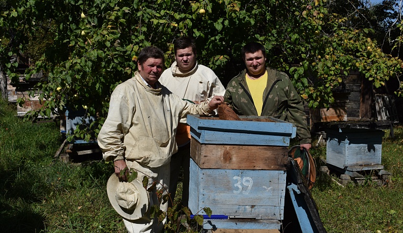 Фанаты пчеловодства