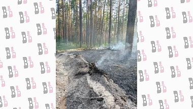 В Хвастовичском округе потушили лесной пожар площадью в 1,5 га