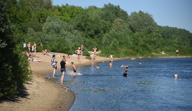 Дикий песок