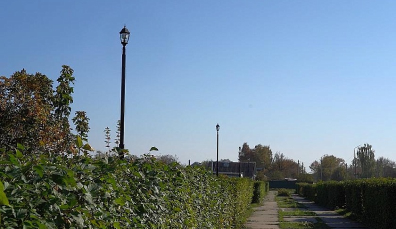 В селе Троицкое Жуковского района установили три десятка фонарей