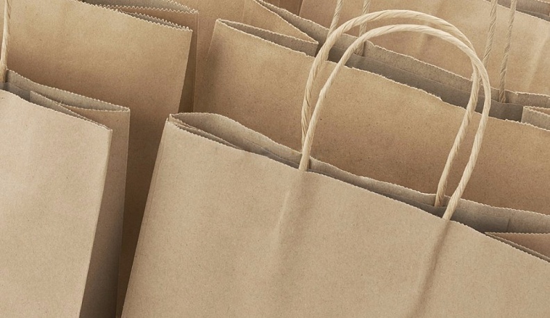 Минприроды Калужской области развеяло миф об экологичности бумажных пакетов