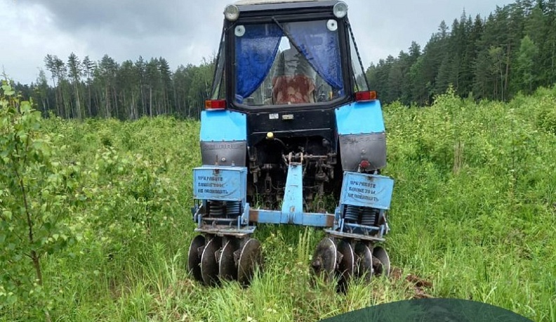 Лесоводы Калужской области провели агроуход на площади более 5 тысяч гектаров