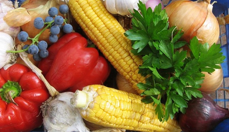 Калужским фермерам и огородникам предлагают похвастаться хозяйствами