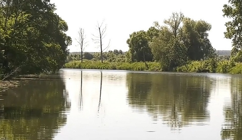 В Жуковском районе прошла экологическая акция