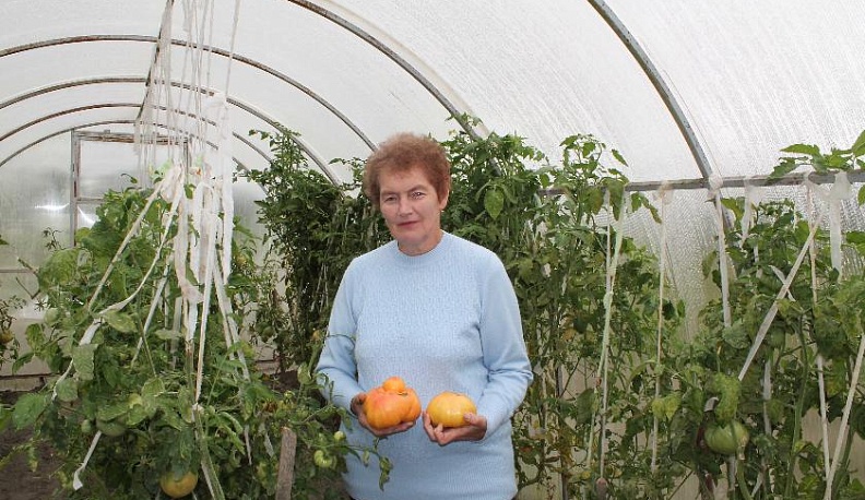 Не отступать и не сдаваться