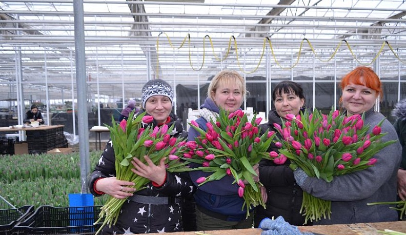 Там, где всегда весна